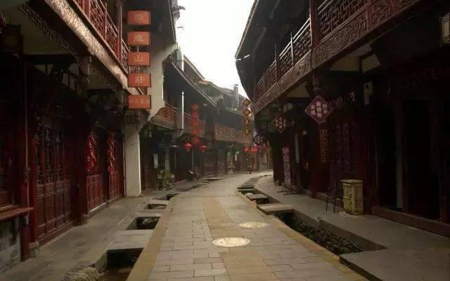 小狗救援行动选关版